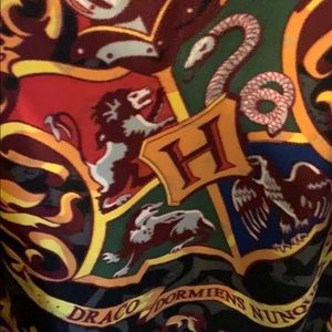 Harry Potter Snuggie